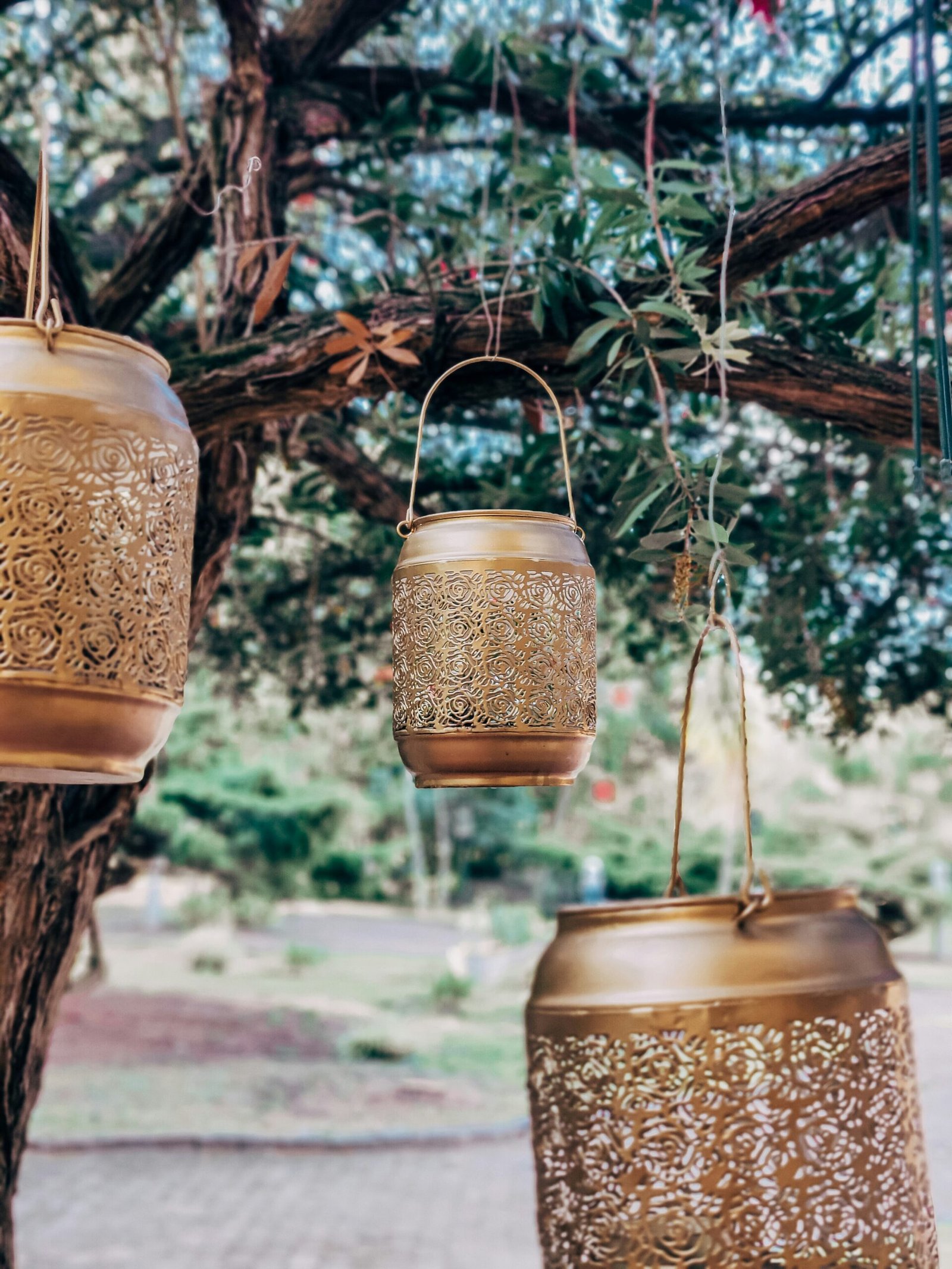 a group of hanging lanterns hanging from a tree